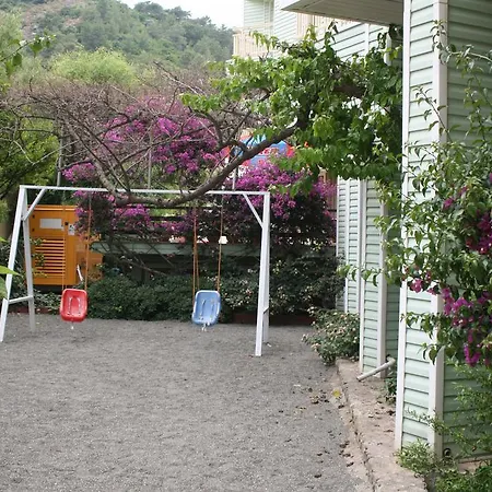 Flamingo 3*