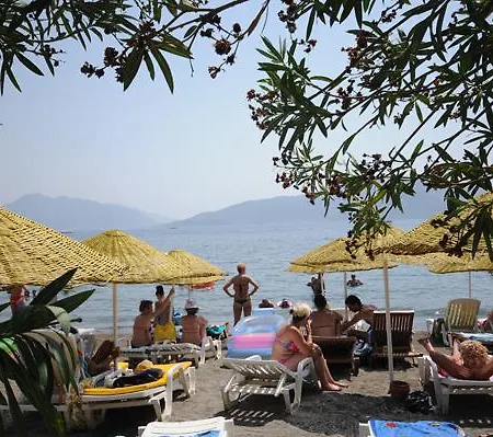 Flamingo 말마리스