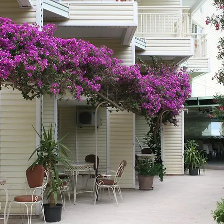 Flamingo マルマリス